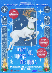 Le marché de Noël des univers imaginaires de Sommières - Sommières, Occitanie