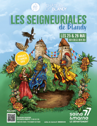 Seigneuriales de Blandy - Blandy, Île-de-France