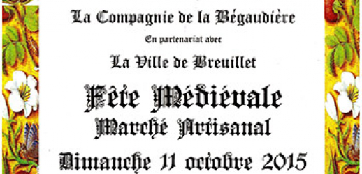 Fête médiévale 2015 à Breuillet  - Breuillet , Île-de-France