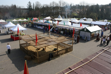 Fête médiévale et artisanale 6ème édition , Verdun - Verdun, Grand Est