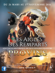 Les Aigles des remparts , Provins - Provins, Île-de-France