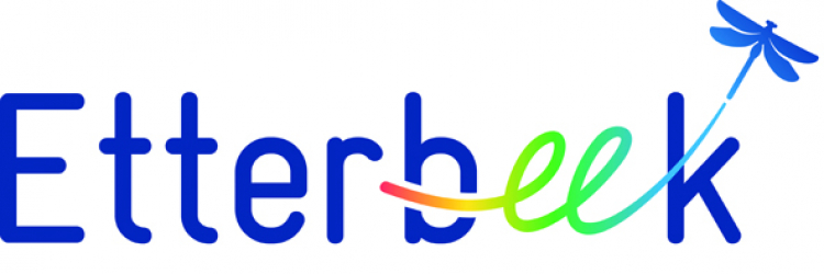 Marché Médiéval d'Etterbeek - Etterbeek, Bruxelles