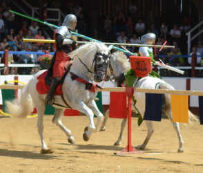 Tournoi de Chevalerie Saint-Cernin-de-Reilhac - Saint-Cernin-de-Reilhac, Nouvelle-Aquitaine