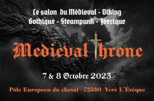 Medieval Throne - Yvré-l'Évêque, Pays de la Loire