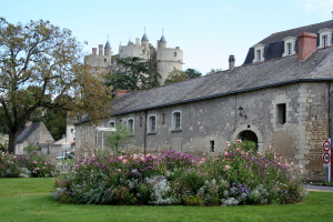 Fête médiévale de Montreuil-Bellay - Montreuil-Bellay, Pays de la Loire