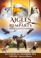 Les Aigles des Remparts - Provins, Île-de-France
