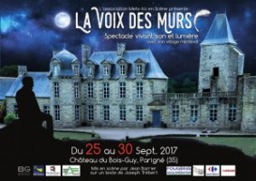 Sons et lumières "La voix des murs" au Château du Bois-Guy de Parigné - Parigné, Bretagne